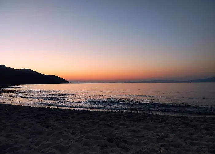 Daire Sempreviva Sea