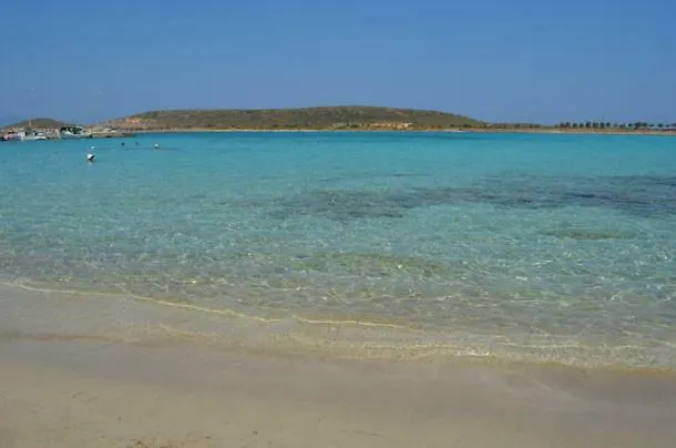 Sempreviva Sea Daire