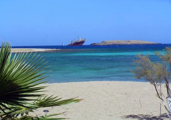 Sempreviva Sea *